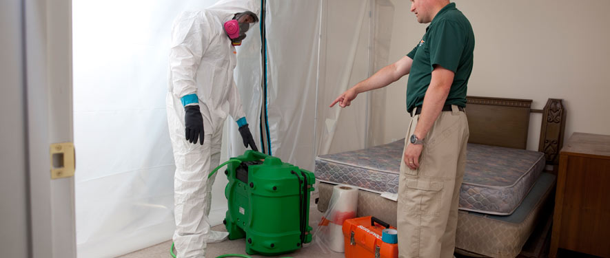 Killeen, TX mold removal process